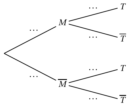 Figure de l'énoncé (Exercice 1) : schéma (arbre ou diagramme).