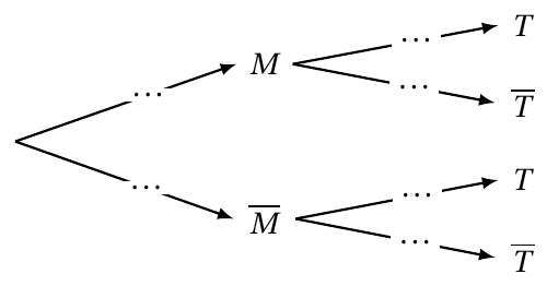 Figure de l'énoncé (Exercice 1) : schéma (arbre ou diagramme).