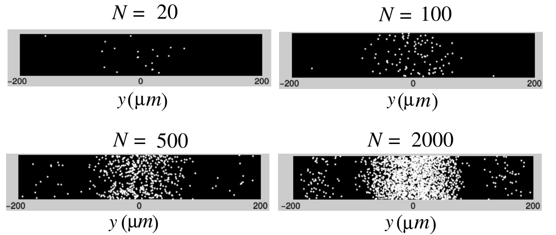 Figure 6 : distribution des impacts des neutrons sur l'écran, résultat d'une simulation numérique, pour quatre valeurs croissantes du nombre N de neutrons (N = 20, N = 100, N = 500, N = 2000). Chaque vignette montre les points d'impact le long de l'axe y (en micromètres, de -200 à 200) ; à mesure que N augmente, les impacts d'abord dispersés et aléatoires reconstituent progressivement la figure de diffraction, avec une concentration centrale marquée autour de y = 0.