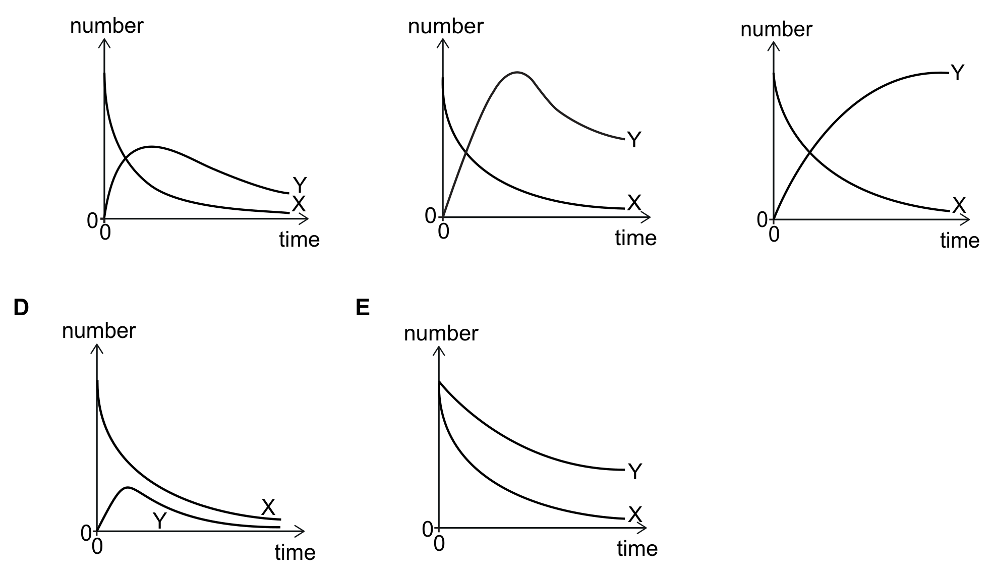 Five small graphs, labelled A to E, each plotting 'number' (vertical axis) against 'time' (horizontal axis) over the same span of time, with curves for nuclides X and Y individually labelled on each graph. Graph A: X starts high and falls steeply toward zero, flattening out near the axis by the end; Y starts at zero, rises to a rounded peak reaching a bit less than half of X's starting height at roughly a third of the way across, then falls slowly, ending above the X curve. Graph B: X starts high and falls steeply toward zero, similar to graph A; Y starts at zero and rises to a rounded peak that reaches almost as high as X's starting value, a little later than in graph A, then falls, ending above the X curve. Graph C: X starts at a high value and decreases smoothly and monotonically toward zero for the whole interval, without ever peaking; Y starts at zero and increases smoothly and monotonically, curving over to approach a level close to X's starting height by the end, without turning back down; the two curves cross once near the middle of the time span. Graph D: X starts very high and falls very steeply to near zero within the first fraction of the interval, then stays low; Y starts at zero and rises only slightly to a small rounded peak well below half of X's starting height, then decreases slowly; X stays above Y for almost the entire graph except right at the start. Graph E: X and Y both start at the same high value at t = 0; X decreases steadily and relatively quickly toward zero; Y also decreases steadily but more slowly than X, so after the shared starting point Y is always above X; neither curve shows a rise.
