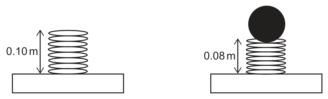 Two side-by-side diagrams of a coil spring standing on a rectangular base. On the left, the unloaded spring has a double-headed vertical arrow labelled 0.10 m spanning its full height. On the right, the same spring now supports a dark solid sphere resting on top of it, compressed shorter, with a double-headed vertical arrow labelled 0.08 m spanning its new height.