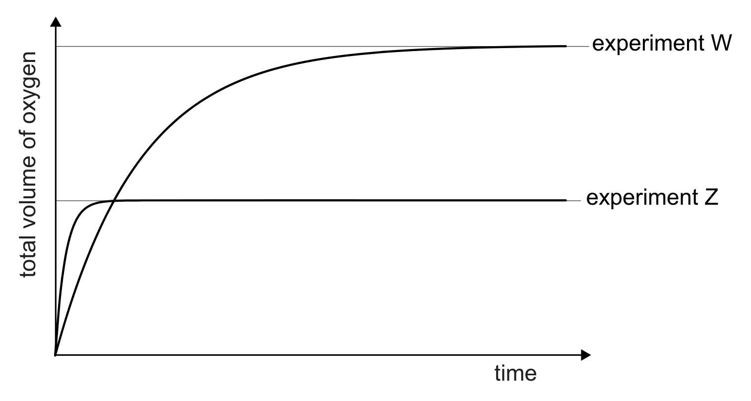 A graph of total volume of oxygen (vertical axis) against time (horizontal axis), with arrowheads on both axes and no numerical scales. Two curves start at the origin. The curve labelled experiment Z rises steeply and levels off quickly at a lower final volume. The curve labelled experiment W rises less steeply, keeps rising for longer and levels off at a final volume roughly twice that of experiment Z. Each plateau is extended by a thin horizontal line to its label on the right.