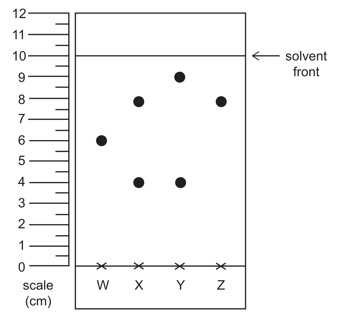 A paper chromatogram drawn as a tall rectangle with a vertical scale in cm on its left, from 0 at the baseline to 12 at the top. The solvent front is a horizontal line across the paper at 10 cm, labelled 'solvent front' with an arrow. Four starting points marked with crosses on the baseline are labelled W, X, Y and Z from left to right. Sample W has one spot at 6 cm; sample X has spots at 8 cm and 4 cm; sample Y has spots at 9 cm and 4 cm; sample Z has one spot at 8 cm.