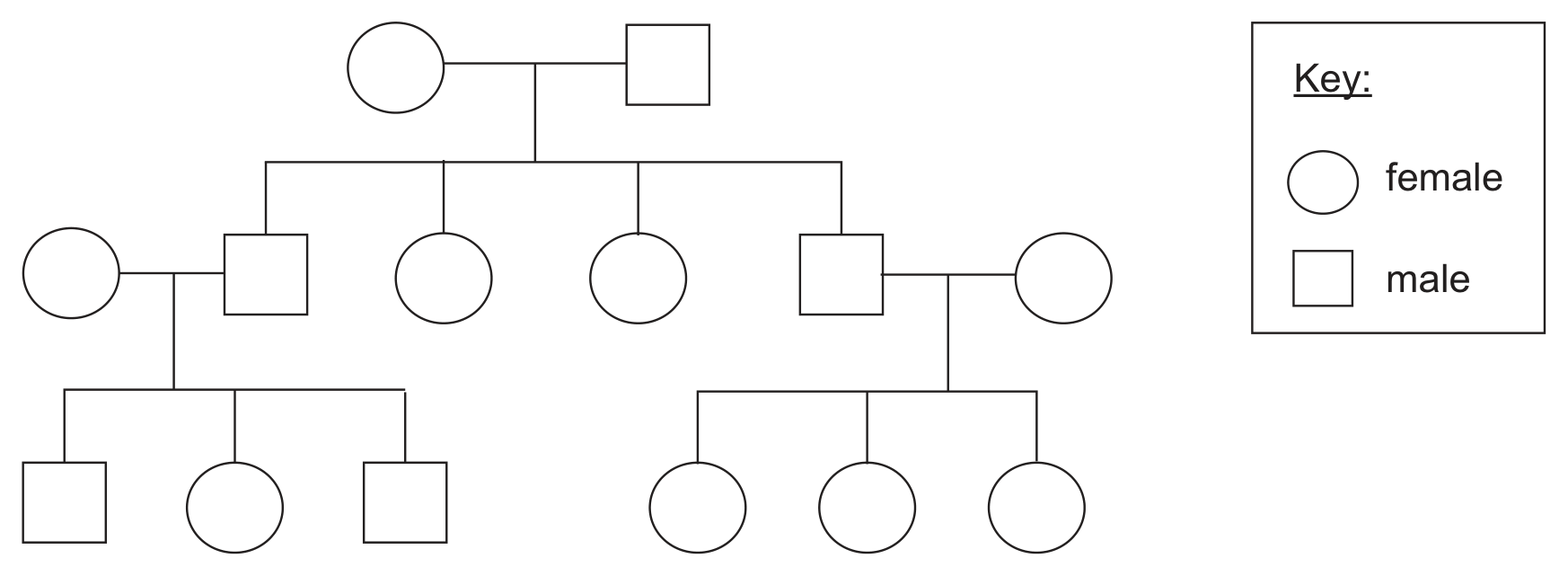 A family tree in which circles are females and squares are males, with a key at the right. At the top a female and a male are joined by a marriage line and have four children in a row: a male who is joined to a female from outside the family, a female, a female, and a male who is joined to a female from outside the family. The left-hand couple have three children: a male, a female and a male. The right-hand couple have three children, all females.