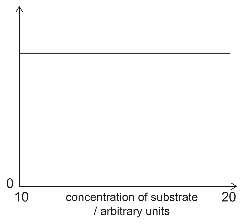 A graph with the x-axis labelled concentration of substrate / arbitrary units, marked 10 at the left end and 20 at the right end, and an unlabelled y-axis with 0 at the origin. The plotted line is horizontal at a constant high value across the whole range.