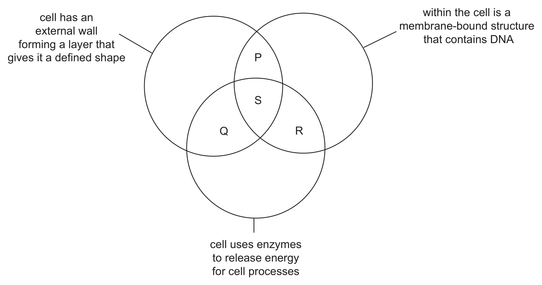 A Venn diagram of three overlapping circles. The upper-left circle is labelled: cell has an external wall forming a layer that gives it a defined shape. The upper-right circle is labelled: within the cell is a membrane-bound structure that contains DNA. The lower circle is labelled: cell uses enzymes to release energy for cell processes. Region P is the overlap of the two upper circles outside the lower circle; S is the central region common to all three; Q is the overlap of the upper-left and lower circles only; R is the overlap of the upper-right and lower circles only.