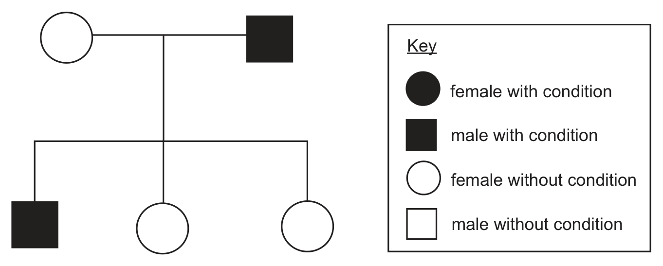 A family tree with a key: a filled circle is a female with the condition, a filled square a male with the condition, an open circle a female without the condition and an open square a male without the condition. An open circle (unaffected mother) is joined to a filled square (affected father); their three children are a filled square (affected son), an open circle and an open circle (two unaffected daughters).