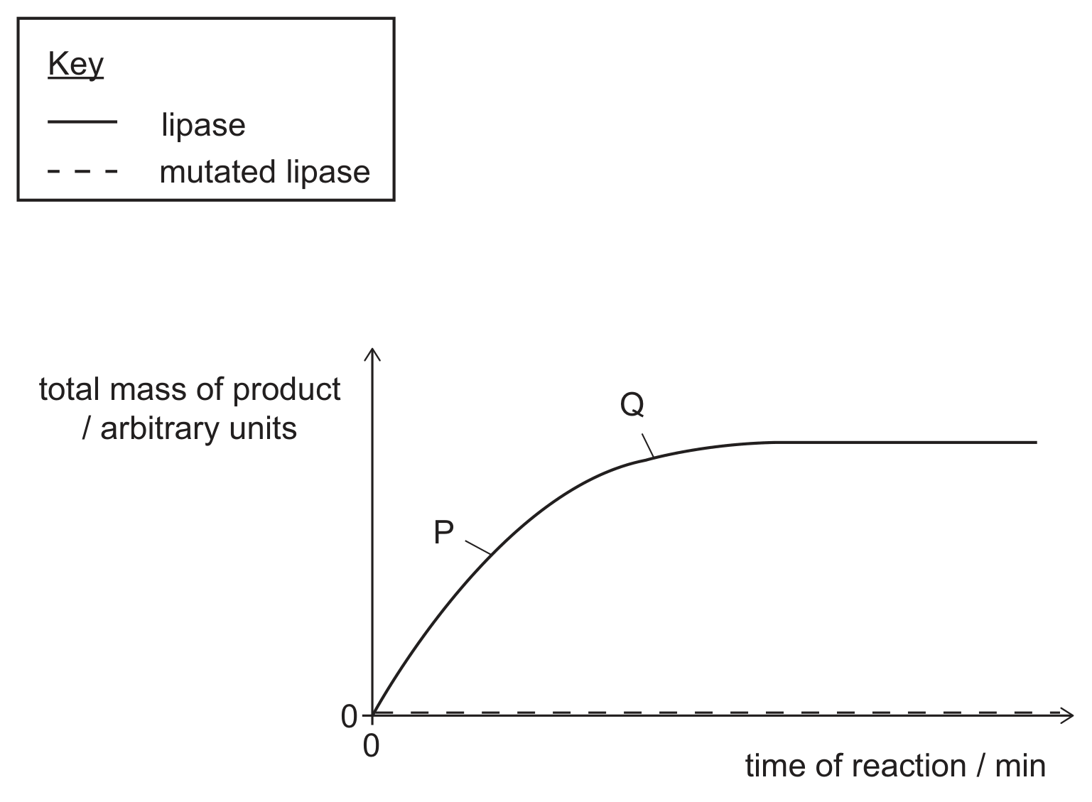 A key (solid line: lipase; dashed line: mutated lipase) and a graph of total mass of product in arbitrary units against time of reaction in minutes, both axes starting at 0. The solid line rises steeply from the origin through a point labelled P, curves over and levels off at a plateau on which a point labelled Q lies. The dashed line lies along the time axis at zero throughout.