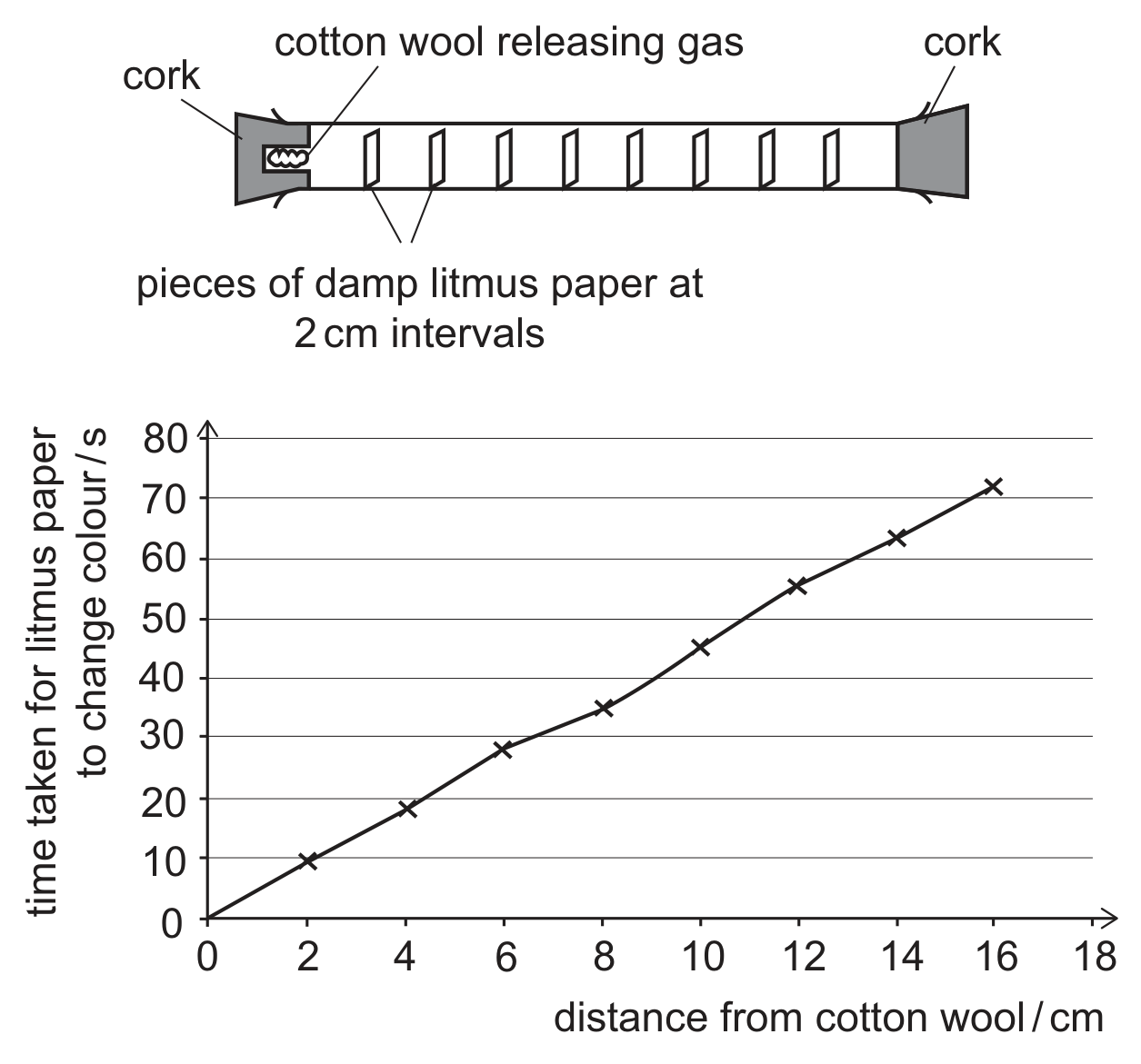 Above: a horizontal glass tube closed at each end by a cork; at the left end a plug of cotton wool releasing gas, and along the tube eight pieces of damp litmus paper at 2 cm intervals. Below: a graph on a grid of time taken for litmus paper to change colour in seconds (y-axis, 0 to 80) against distance from cotton wool in cm (x-axis, 0 to 18). The points rise almost linearly: about 10 s at 2 cm, 19 s at 4 cm, 28 s at 6 cm, 35 s at 8 cm, 45 s at 10 cm, 55 s at 12 cm, 63 s at 14 cm and 72 s at 16 cm.