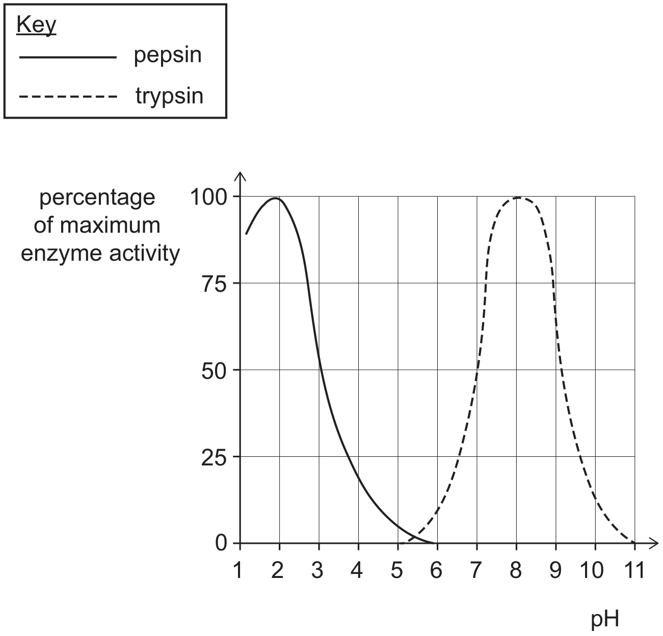 A key (solid line pepsin, dashed line trypsin) and a graph on a grid of percentage of maximum enzyme activity (y-axis, 0 to 100) against pH (x-axis, 1 to 11). The pepsin curve peaks at 100 at pH 2 and falls to zero by about pH 5.5. The trypsin curve rises from zero at about pH 5.5, peaks at 100 at pH 8 and falls to zero by pH 11.