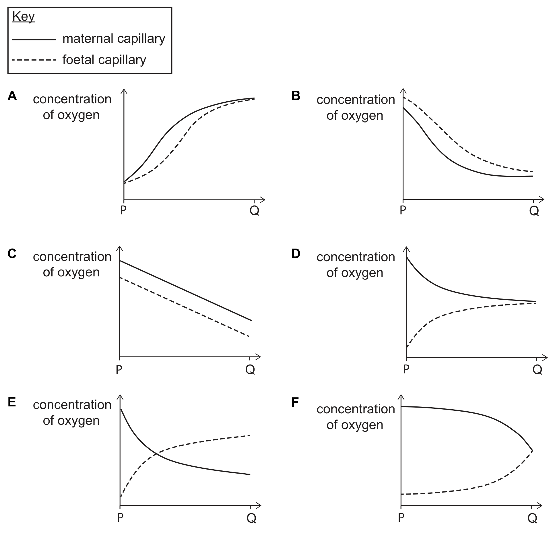 A key (solid line maternal capillary, dashed line foetal capillary) and six graphs labelled A to F of concentration of oxygen against position from P to Q. A: both lines rise from P to Q, maternal above foetal, meeting at Q. B: both lines fall, foetal above maternal. C: two roughly parallel straight lines falling from P to Q, maternal above foetal. D: the maternal line falls and the foetal line rises, converging towards Q without crossing. E: the maternal line falls and the foetal line rises, crossing near P. F: the maternal line falls and the foetal line rises, meeting at Q.