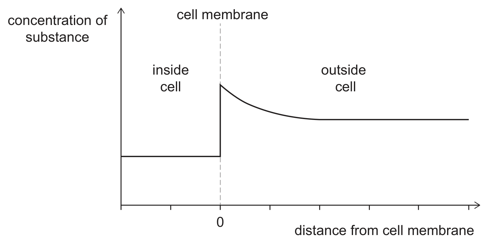 A graph of concentration of substance (y-axis) against distance from cell membrane (x-axis), with the cell membrane marked by a vertical dashed line at 0; the region to the left is labelled inside cell and the region to the right outside cell. Inside the cell the concentration is a low horizontal line. At the membrane it jumps to a much higher value and then falls away, levelling off at an intermediate value further from the membrane.