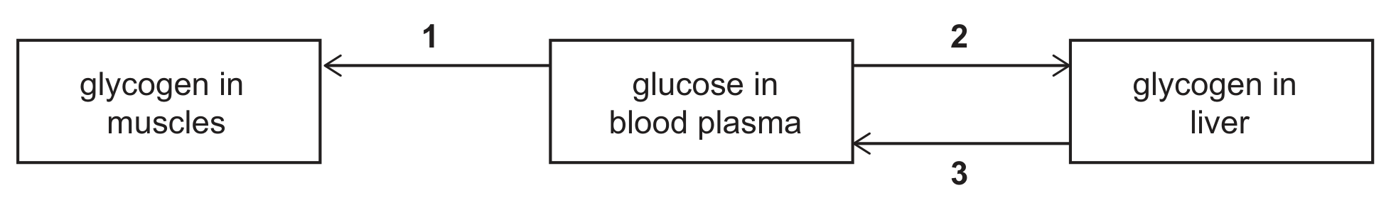 Three boxes in a row: glycogen in muscles (left), glucose in blood plasma (middle) and glycogen in liver (right). Arrow 1 points from the middle box to the left box; arrow 2 points from the middle box to the right box; arrow 3 points from the right box back to the middle box.