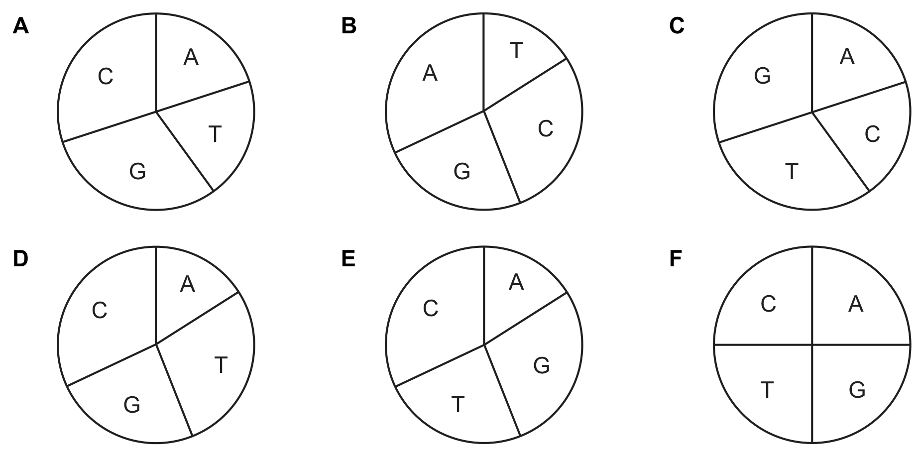 Six pie charts labelled A to F, each divided into four sectors labelled with the bases. A: A and T each about one fifth, C and G each about three tenths. B: T the smallest sector (about 16%), then G (about 24%), C (about 28%) and A the largest (about 32%). C: A and C each about one fifth, T and G each about three tenths. D: A the smallest (about 16%), then G (about 24%), T (about 28%) and C the largest (about 32%). E: A the smallest (about 16%), then T (about 24%), G (about 28%) and C the largest (about 32%). F: four equal quarters, C, A, T and G.