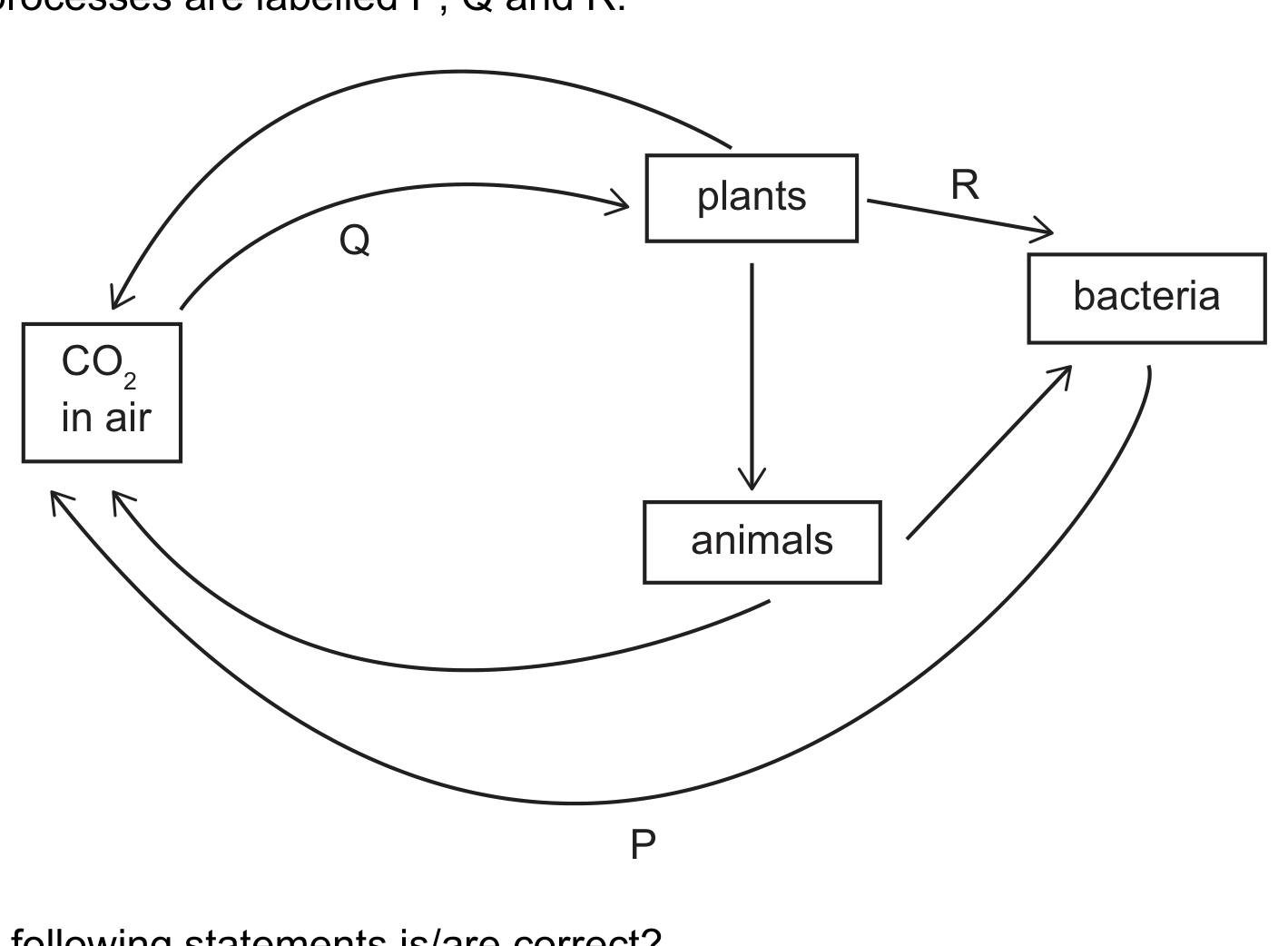 Four boxes: CO2 in air (left), plants (top right), animals (below plants) and bacteria (far right). Arrow Q curves from CO2 in air to plants; an arrow leads from plants down to animals; arrow R leads from plants to bacteria; an arrow leads from animals to bacteria; arrows lead from plants and from animals back to CO2 in air; and the long arrow P curves from bacteria round the bottom of the diagram to CO2 in air.